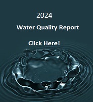 2024 CCR
